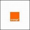 1041302056~orange2.jpg