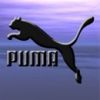 Puma_(1).jpg