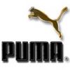 Puma_(3).jpg